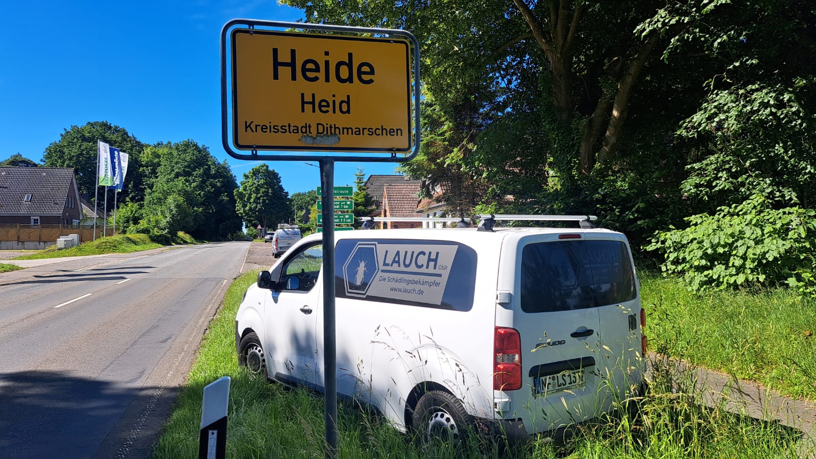 Fachgerechte Schädlingsbekämpfung in Flensburg und Umgebung