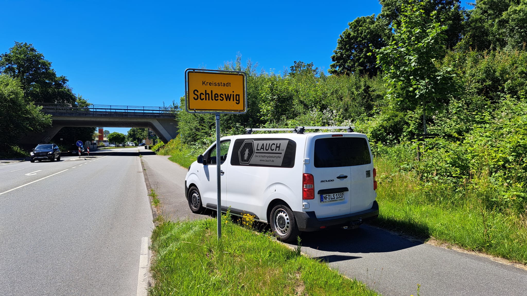 Wespennest als häufiger Einsatzfall der Schädlingsbekämpfung in Schleswig